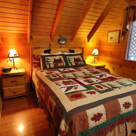 Cute Updated Mountain Cabin Fireplace #3 Helen Ngoại thất bức ảnh