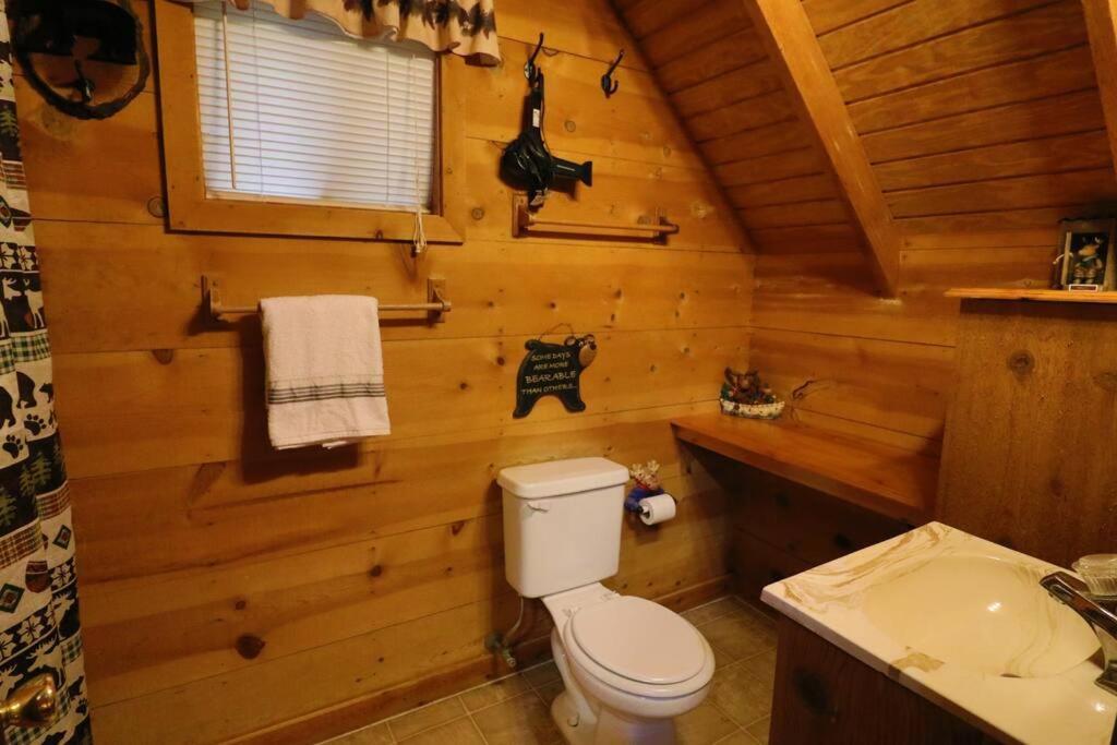 Cute Updated Mountain Cabin Fireplace #3 Helen Ngoại thất bức ảnh