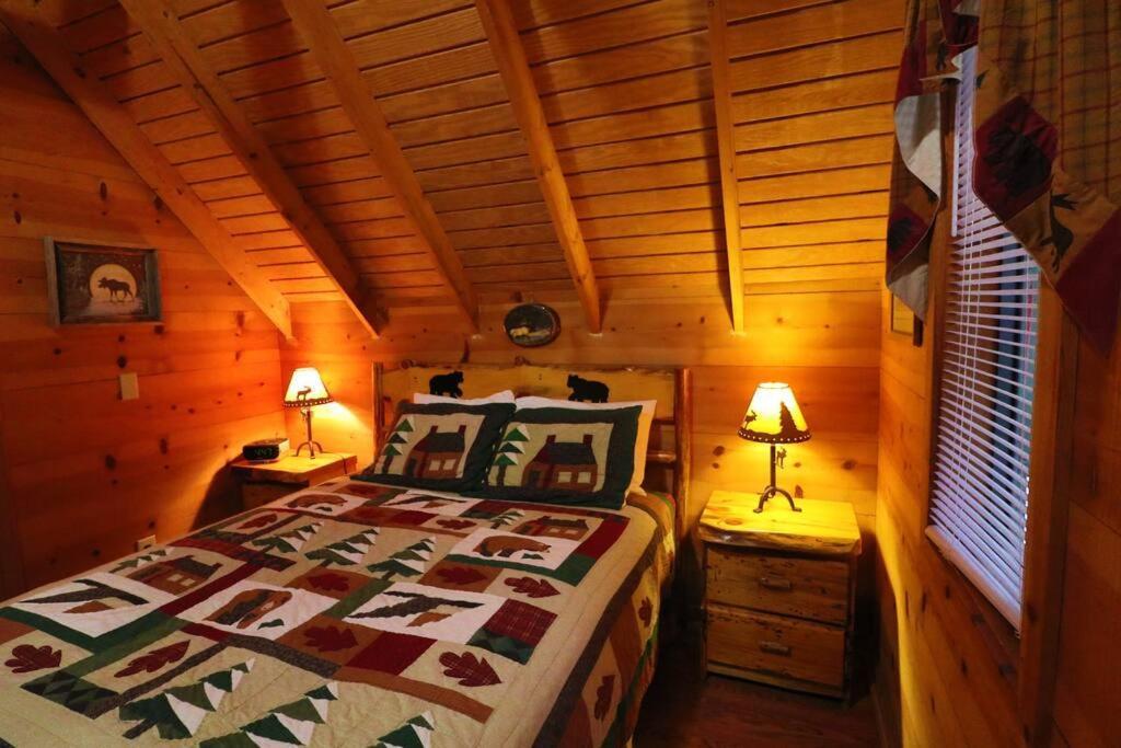 Cute Updated Mountain Cabin Fireplace #3 Helen Ngoại thất bức ảnh
