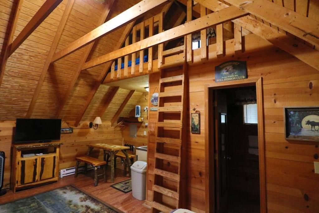 Cute Updated Mountain Cabin Fireplace #3 Helen Ngoại thất bức ảnh