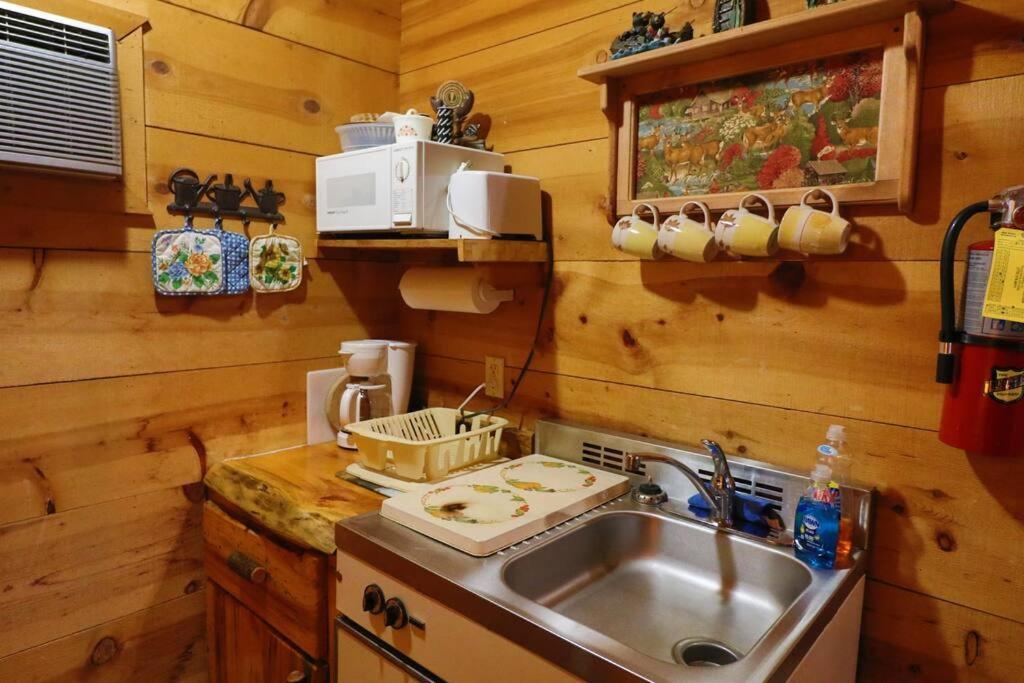 Cute Updated Mountain Cabin Fireplace #3 Helen Ngoại thất bức ảnh